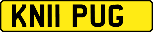 KN11PUG