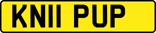 KN11PUP