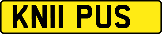 KN11PUS