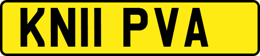 KN11PVA