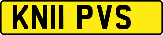 KN11PVS