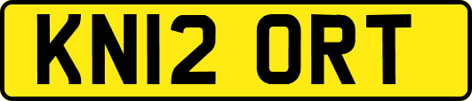 KN12ORT