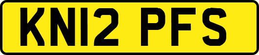 KN12PFS