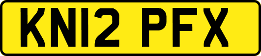 KN12PFX