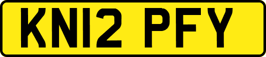 KN12PFY