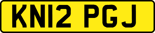 KN12PGJ