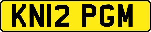 KN12PGM
