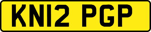 KN12PGP
