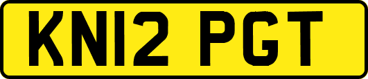 KN12PGT
