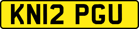 KN12PGU