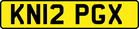 KN12PGX