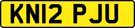 KN12PJU
