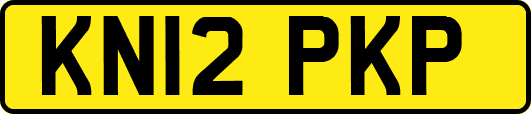 KN12PKP