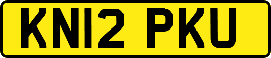 KN12PKU
