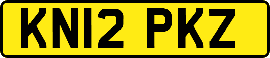 KN12PKZ