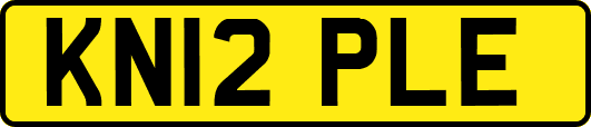 KN12PLE