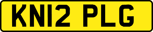 KN12PLG
