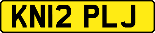 KN12PLJ