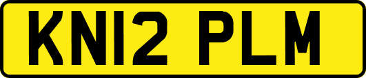 KN12PLM