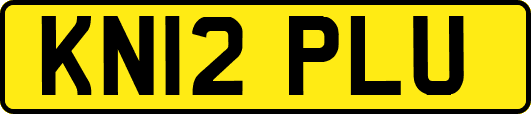 KN12PLU