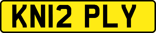 KN12PLY