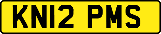 KN12PMS