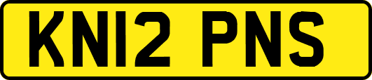 KN12PNS