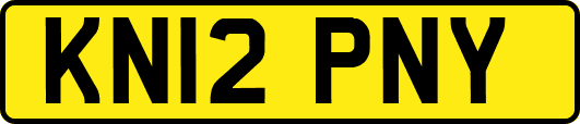 KN12PNY