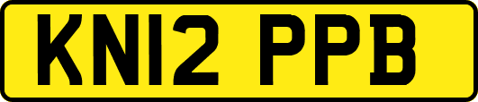 KN12PPB