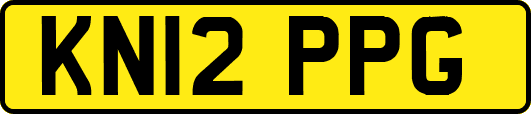 KN12PPG