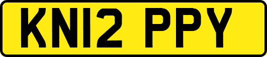 KN12PPY