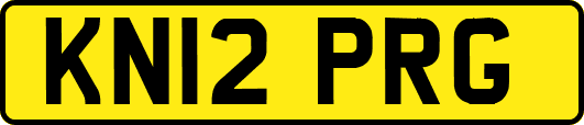 KN12PRG