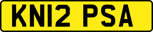 KN12PSA