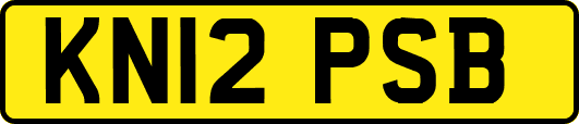 KN12PSB