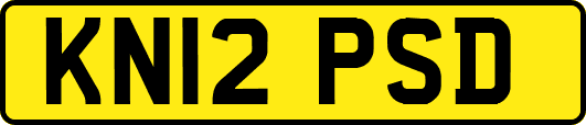 KN12PSD