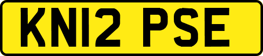 KN12PSE