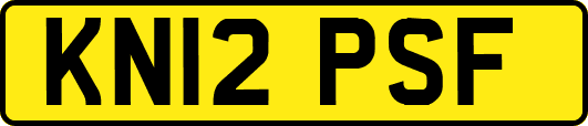 KN12PSF