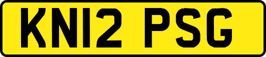 KN12PSG