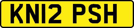 KN12PSH
