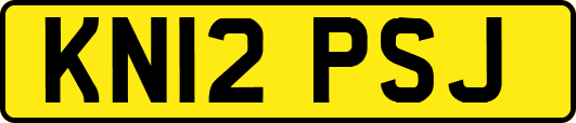 KN12PSJ