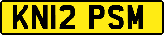 KN12PSM
