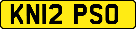 KN12PSO