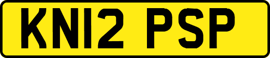 KN12PSP