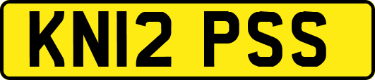 KN12PSS