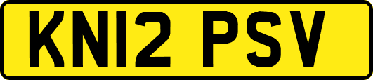 KN12PSV