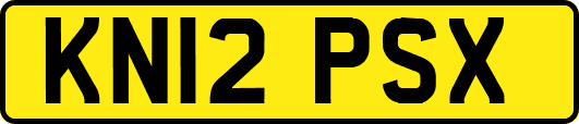 KN12PSX
