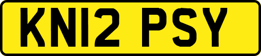 KN12PSY