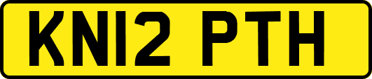KN12PTH