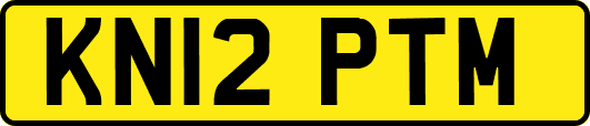 KN12PTM