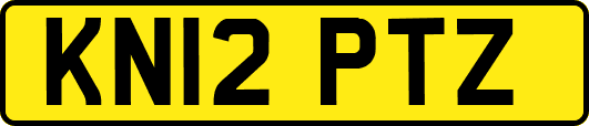 KN12PTZ